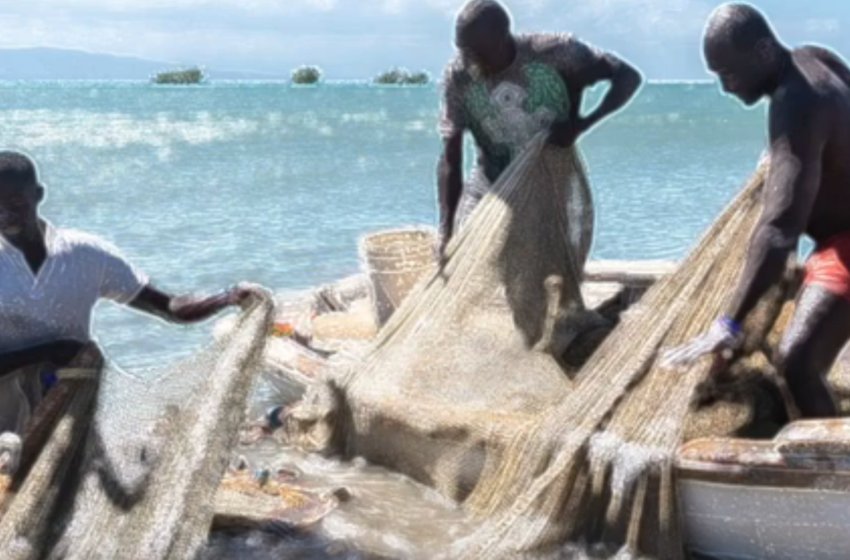  ANAPRA Haiti et l’agronome Anne-Isabelle Bonifassi “La pêche non contrôlée”